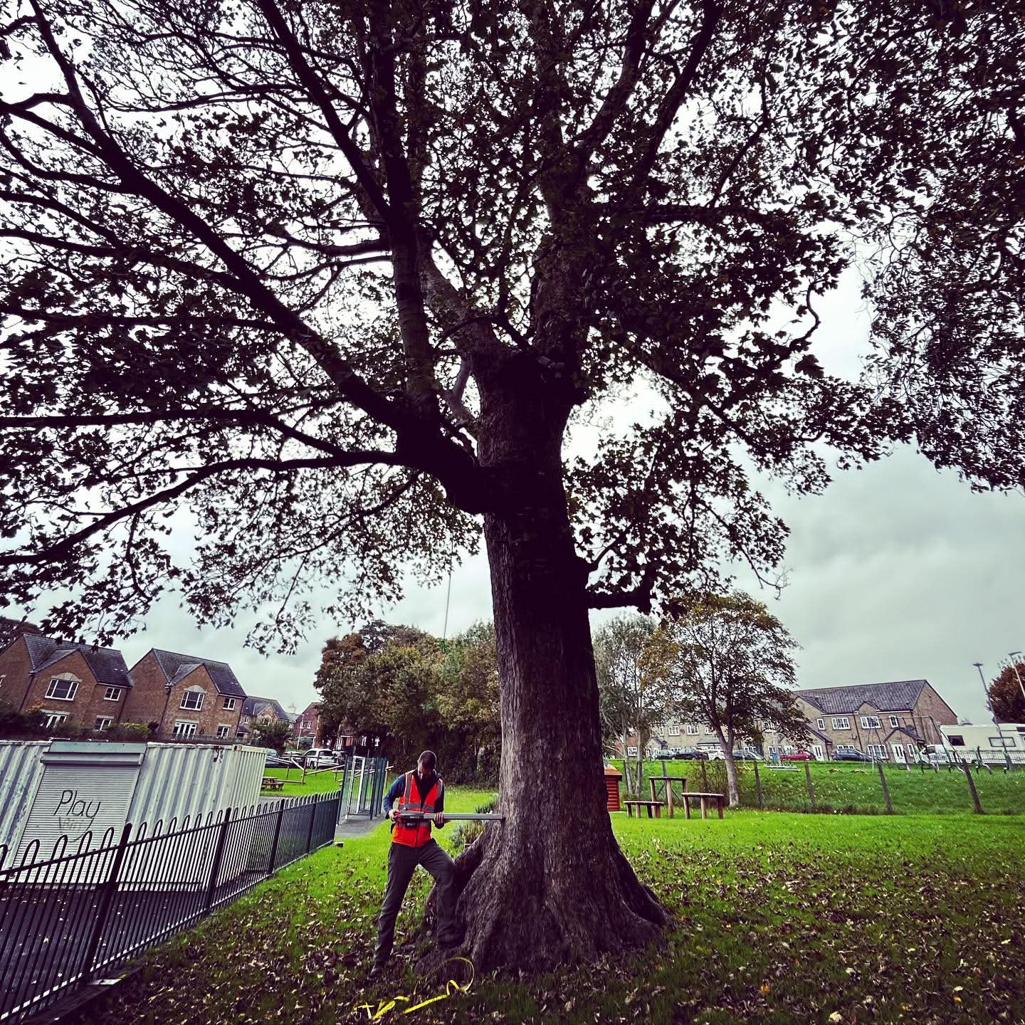 Consultancy services